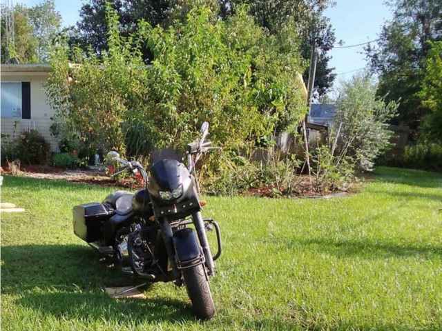 Harley Davidson FLHTC shipped to FL, USA